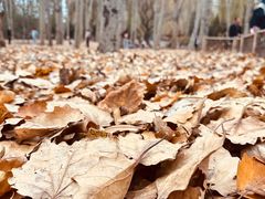 -森林公园(尖草坪区)