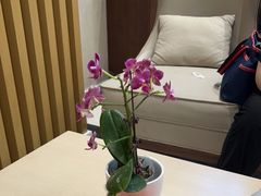 -慈铭体检(北京奥亚分院)