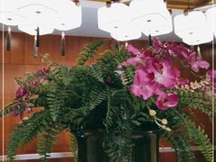 -国人川菜(李家村建东街店)