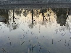 -迎泽公园