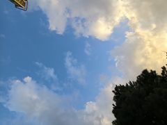 -辽宁古生物博物馆