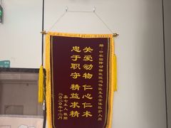 -中农国际动物医院24小时·猫科·骨科·急重症中心