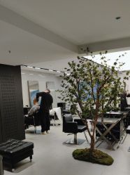 -付军剪艺JF ProSalon