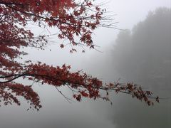 -四明山国家森林公园