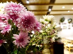 -春暖花开(西溪店)