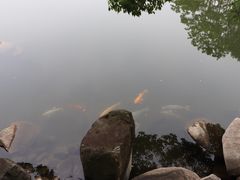 -白马涧龙池景区