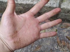 -梧桐山风景名胜区