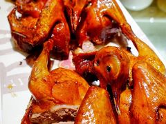 红烧乳鸽-大鸽饭(北京路店)
