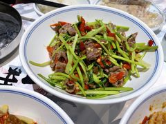 香菜炒牛肉-壹盏灯(蚂蚁工房店)