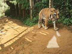 -云南野生动物园