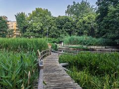 -成都市活水公园