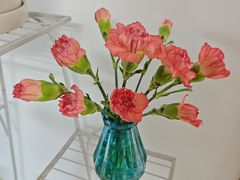 -盒马鲜生(馥邦国际店)