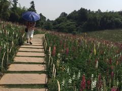 石象湖-保利石象湖景区