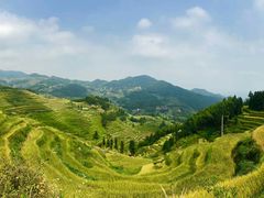 -紫鹊界梯田景区