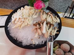 黑白双菇拼盘-潮汕酱记鲜牛肉火锅(欧尚店)