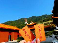 -深圳仙湖植物园
