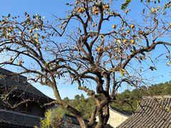 -东钱湖旅游度假区