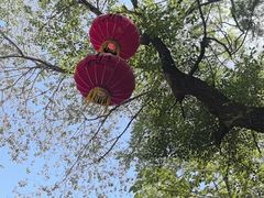 -井塘古村