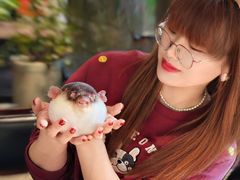 -永安鱼庄·镇江菜(东吴路店)