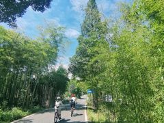 -莫干山风景区