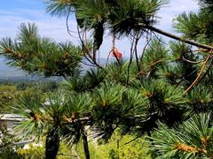 -响堂山石窟-北响堂山石窟