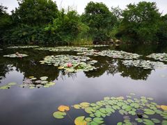 -白马涧龙池景区