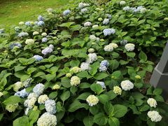 -滨湖塘西河公园