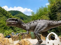 -将军关探险漂流