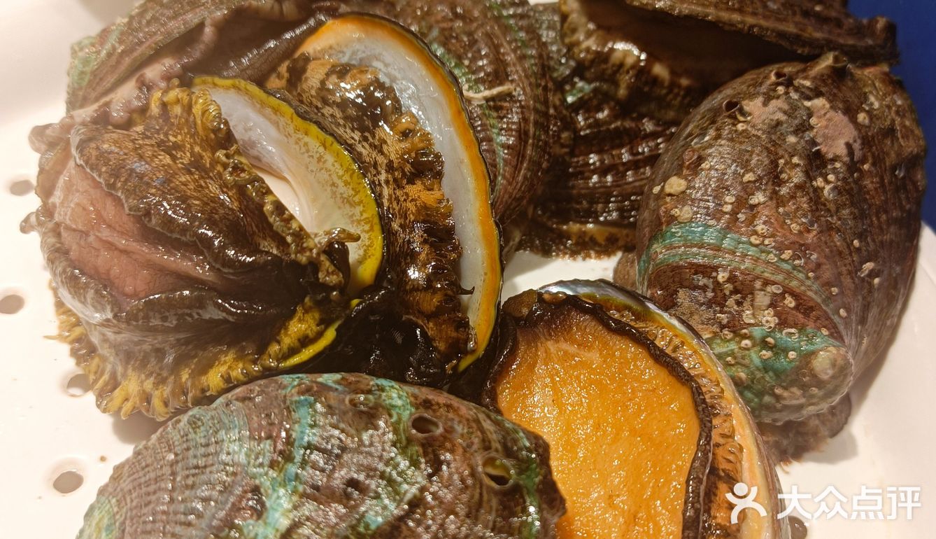 爱吃海鲜的都来了吗