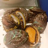 爱吃海鲜的都来了吗