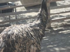 -水上乐园·欢乐世界