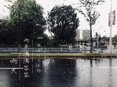 -COTTON CAFE(德信·中外公寓店)