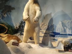 -陕西自然博物馆