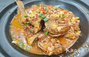 Flower Heart Grouper