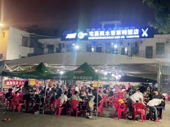 -霞姐屯昌枫木香草鸭店(海螺店)
