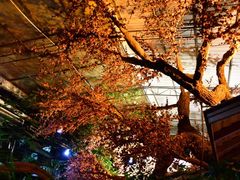 景观位-江天生态园餐厅
