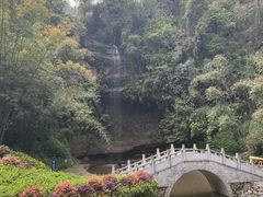 -沐川竹海旅游景区