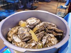 -千岛蚝高压锅生蚝·人参火锅(白云万达店)