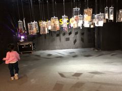-金茂览秀城