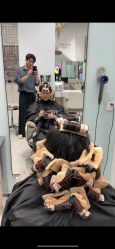 点击看大图 -美格丝M.G.S Hair Salon