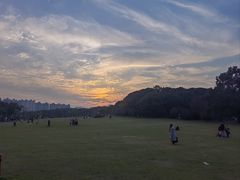 -昆山城市生态森林公园