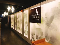 -Oasis Bar & Grill