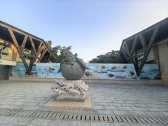 -广东惠东海龟国家级自然保护区