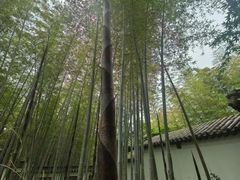 -求雨山文化公园