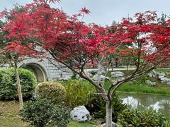 -玄武湖景区-情侣园游乐场