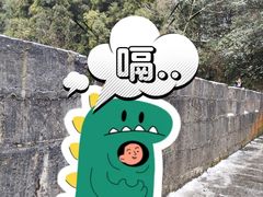 -娄山关景区