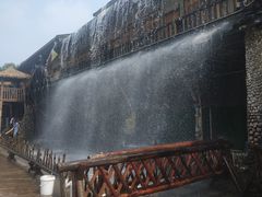 -呀路古热带植物园