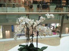 -杭州西湖银泰百货