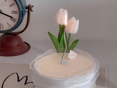 -山与蓝·轻糖鲜果蛋糕(勒泰店)