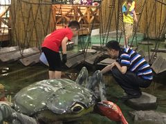 -上海大自然野生昆虫馆(东方明珠·爬宠昆虫探索中心)